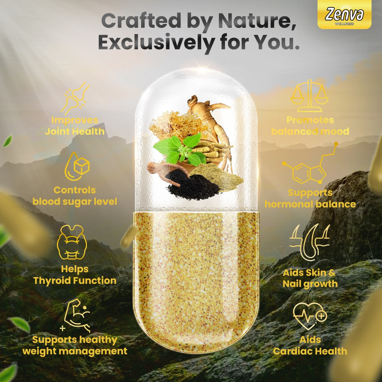 Zenva Wellness | Sea Moss 16-in-1 Extra Strength with Yellow Dock Black Seed Oil and Bladderwrack